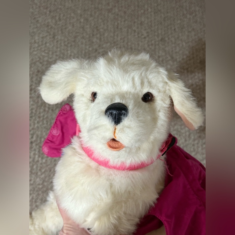 2010 FuReal Dog Cookie